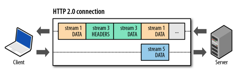 HTTP/2 Connection