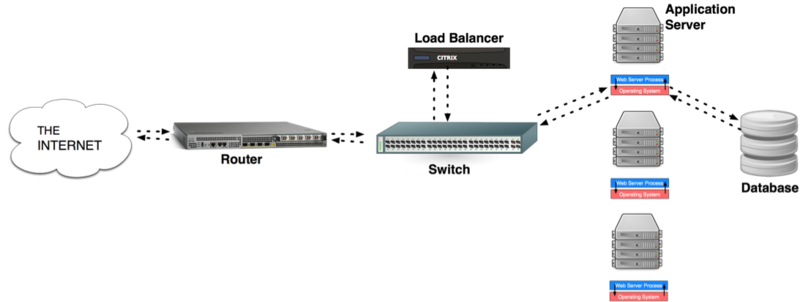 Full network topology