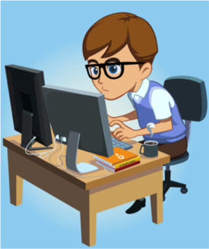 Software Developer
